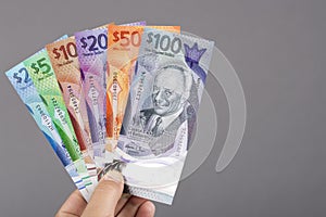 Barbadian money in the hand on a gray background