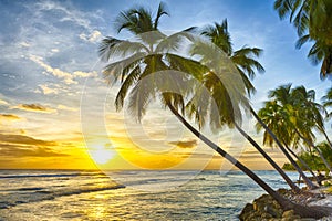 Barbados beach at sunset