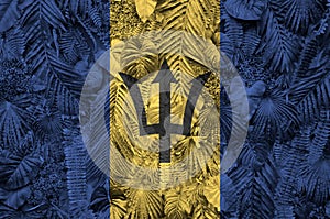 Barbados flag depicted on many leafs of monstera palm trees. Trendy fashionable backdrop