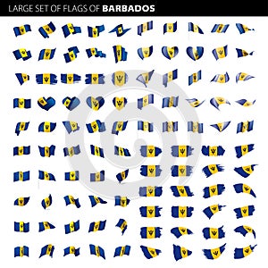 Barbados flag, vector illustration