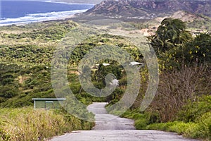 Barbados landscape