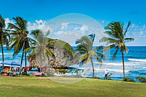 Barbados Shore Line in the Caribbean