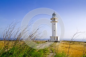 Barbaria cape lighthouse Formentera meadow photo