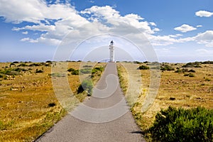 Barbaria cape lighthouse Formentera meadow