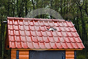 Barbarism: a hole in a new roof