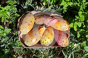 barbary figs displayed in paper package