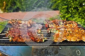 Barbecue photo