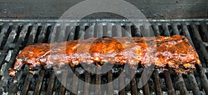 Barbecue Baby Back Ribs