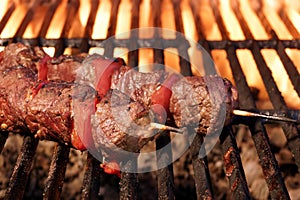 Barbecue Beef Kebabs On The Flaming Grill Close-up