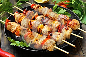 Barbecue, chicken kebab with vegetables