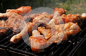 Barbecue with chicken and pork meat