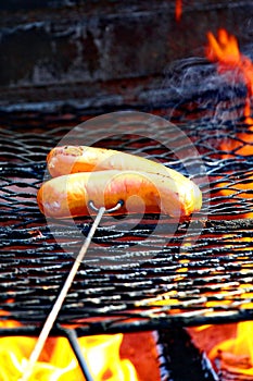 Barbecue. Close-up of grilled sausages on wire rack