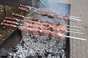 Barbecue and Cooking shish kebab