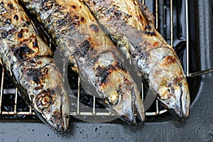 Barbecue with fish. Grilled mackerel fish.