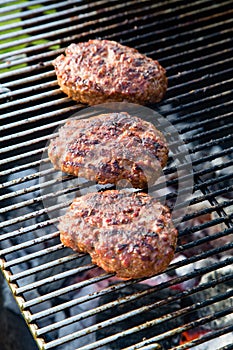 Barbecue in the garden