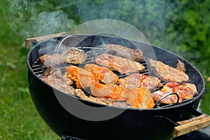 Barbecue in the Garden , close up