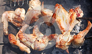 Barbecue grill chicken wings