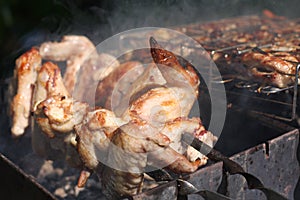 Barbecue grill chicken wings and pork and beef meat