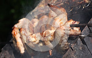 Barbecue grill chicken wings and pork and beef meat