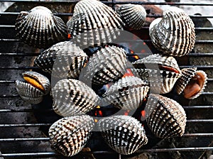 Barbecue grill cooking seafood, cockle seashells cooking on grill