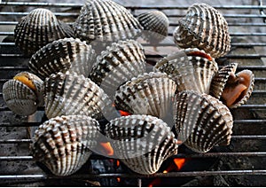 Barbecue grill cooking seafood, cockle seashells cooking on grill