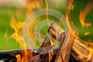 Barbecue Grill. Fire flame on green grass background. Barbecue Grill with Fire on Open Air.