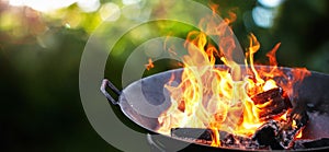 Barbecue Grill. Fire flame photo