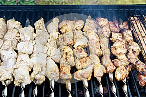 Barbecue grill on roast meat skewers over charcoal BBQ