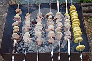 Barbecue Grilled pork kebabs