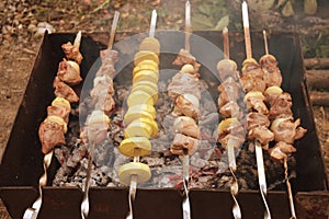 Barbecue Grilled pork kebabs