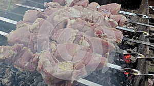 Barbecue Grilled pork kebabs meat lamb kebab marinated barbecue meat shashlik shish kebab outdoors picnic. Shashlik or