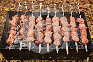 Barbecue Grilled pork kebabs meat lamb kebab marinated caucasus barbecue meat shashlik shish kebab outdoors picnic, soft