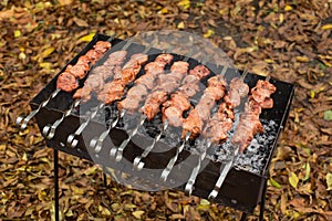 Barbecue Grilled pork kebabs meat lamb kebab marinated caucasus barbecue meat shashlik shish kebab outdoors picnic, soft