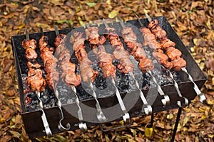 Barbecue Grilled pork kebabs meat lamb kebab marinated caucasus barbecue meat shashlik shish kebab outdoors picnic, soft