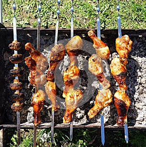 Barbecue Grilled pork kebabs meat lamb kebab marinated caucasus barbecue meat shashlik shish kebab outdoors picnic. Shashlik or