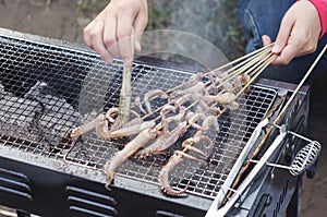 Barbecue of grilled squid