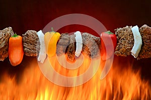 Barbecue kabob over hot fire photo