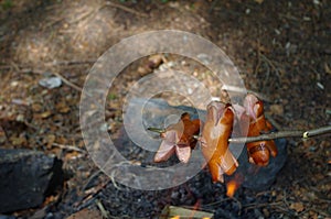 Barbecue in nature