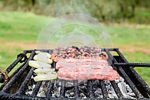 Barbecue in nature. Baking meatballs on charcoal.