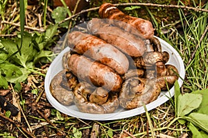 Barbecue on the nature in summer mushrooms meat sausages kebab grill lies on a plate on the grass