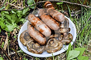 Barbecue on the nature in summer mushrooms meat sausages kebab grill lies on a plate on the grass