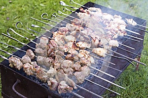 Barbecue outdoor on bright summer day. Close-up of pieces of meat shish kebabs on skewers roasting.