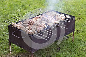 Barbecue outdoor on bright summer day. Close-up of pieces of meat shish kebabs on skewers roasting.