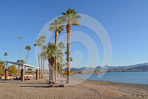 Barbecue and Picnic Table under a shade canopy and Palm Trees in Rotary Community Park, Lake Havasu, Mohave County, Arizona USA photo