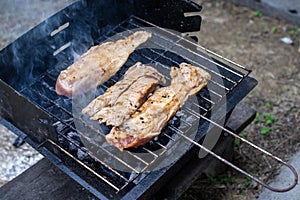 Barbecue pork and chickent grill in the garden cooking for delicious