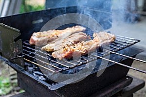 Barbecue pork and chickent grill in the garden cooking for delicious