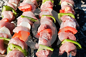 Barbecue with raw meat skewers