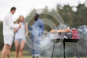 barbecue roasting food with friends conversing. High quality beautiful photo concept