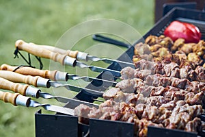Barbecue shashlik kebab with winglets and tomatoes in chargrill semifinished on skewer side view closeup