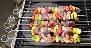 Barbecue. Shish kebab with grilled peppers and onion, on hot grill